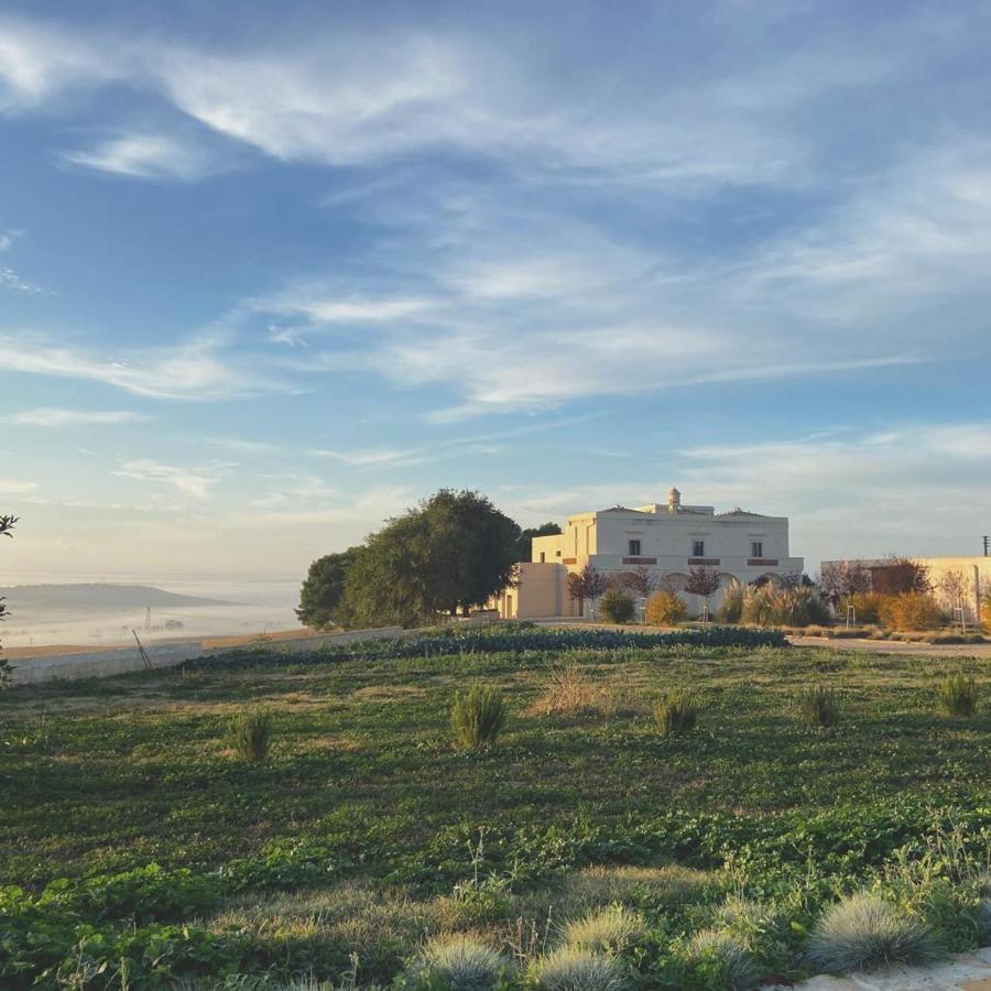 Masseria Fontana Di Vite